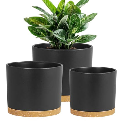 Large Plant Pots Set of 3 – 8", 9", 10" Indoor Flower Pots with Drainage Holes and Saucers, Big Planters for Monstera, Fiddle Leaf Fig, Snake Plant – 5 Colors - color: Black With Brown Base