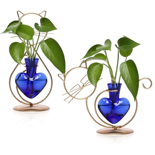 Plant Terrarium Propagation Station Gifts for Women Cat Lover | Plant Lovers Home Office Decor Cat Desk Accessories - color: Gold Blue