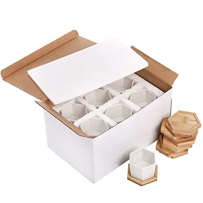 Foraineam 10 Pack Mini Succulent Plant Pots, 2.76 inch Hexagonal White Ceramic Succulent Cactus Planters with Bamboo Tray