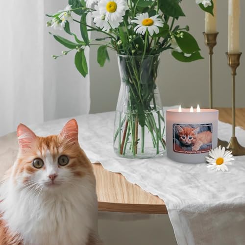 Colonial Candle Purrfectly Cozy Scented Jar Candle, 14 oz - Warm & Comforting Fragrance, Long-Lasting Burn, Made in The USA - color: Purrrfectly Cozy