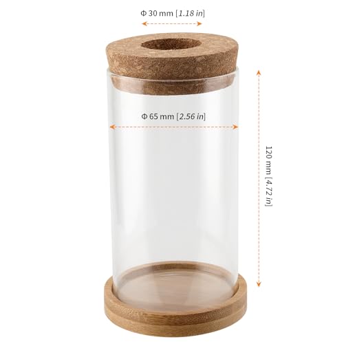 HOZEON 8 PCS Glass Planter Vase, Desktop Plant Terrarium, Tabletop Propagation Station Hydroponic Glass Planter for Office and Home Table Decorations