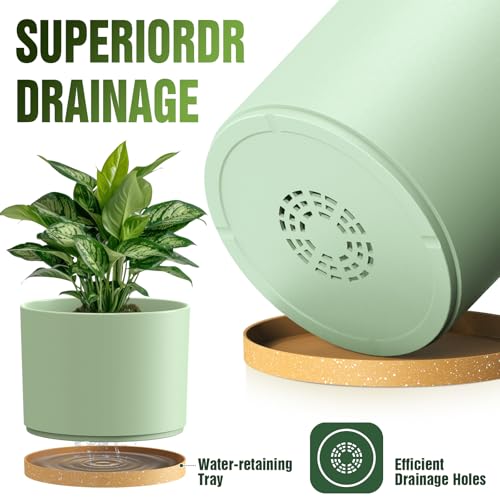 10/9/8 Inch Plant Pots 3 Pack, with Drainage Hole & Saucers | Cylindrical plastic planters with drainage holes & saucers. Modern matte finish, lightweight & durable for indoor/outdoor use - color: Matte Green&brown