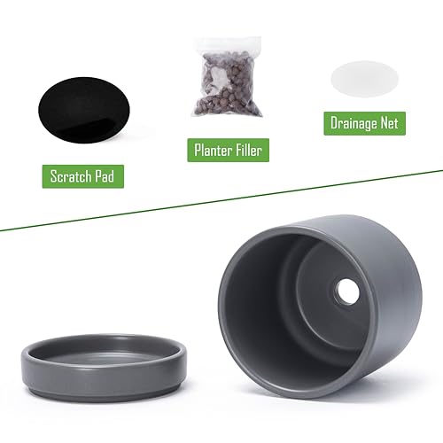 D'vine Dev 4-Pack Ceramic Pots with Saucers, Grey, 4.7 in, 94-X-B-3 | Glazed Ceramic, Drainage Hole and Saucer, Sleek Cylinder Shape, High Temperature Fired, Ideal for Small Houseplants - color: Gray, size: 4.7 Inch
