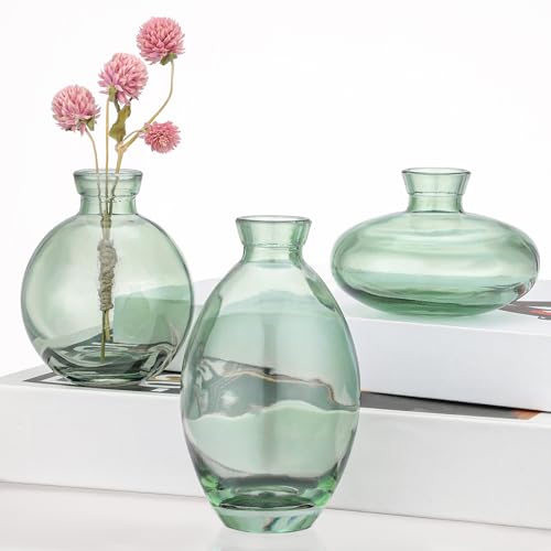 Suream Green Small Flower Vase, Set of 3 Cute Vase for Minimalist Decor, Glass Bud Vases for Home Table Flower Decoration - color: Green