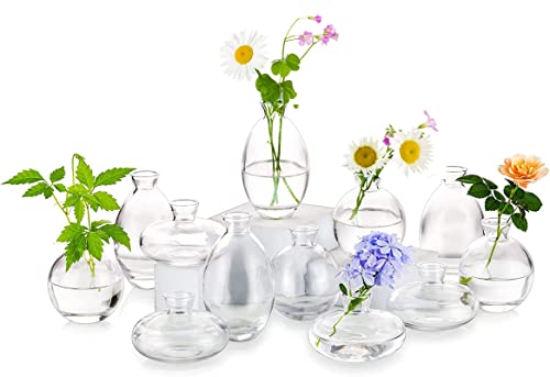 Glass Bud Vases Set of 12, Hewory Cute Clear Small Vases Handmade, Mini Glass Flower Vase for Floral Arrangement, Tiny Centerpiece for Wedding Party Events Home Office Table Decor (Not Include Flower) - color: Clear, size: 4sets (12pcs)