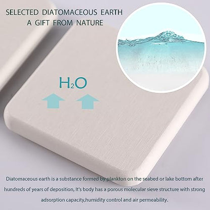 NiuYichee Set of 4 Water Absorbent Diatomite Coasters, Diatomaceous Earth Kitchen Soap Dish, Bathroom Trays, Water Absorbing Stone Used for Hand Soaps & Plants & Toiletries in The Modern Home - color: Set of 4 White