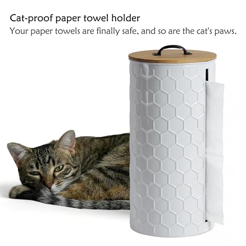 Metal Paper Towel Holder, Weighted Base with Suction Cups | White Honeycomb Pattern Embossed with Wooden Lid, Easy Tear Roll Dispenser for Kitchen Counter, Bars, Dining Tables - color: Honeycomb White
