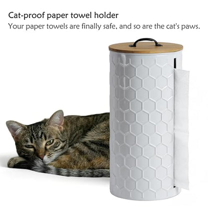 Metal Paper Towel Holder, Weighted Base with Suction Cups | White Honeycomb Pattern Embossed with Wooden Lid, Easy Tear Roll Dispenser for Kitchen Counter, Bars, Dining Tables - color: Honeycomb White