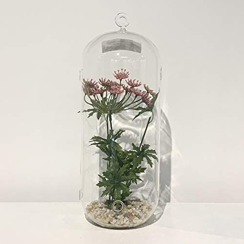 WGV Hanging Glass Plant Terrarium Bulk, Width 5", Height 12", Lantern DIY Air Succulent Planter Clear Tea Light Votive Candle Holder, Wedding Event Office Home Outdoor Decor, 12 Pieces