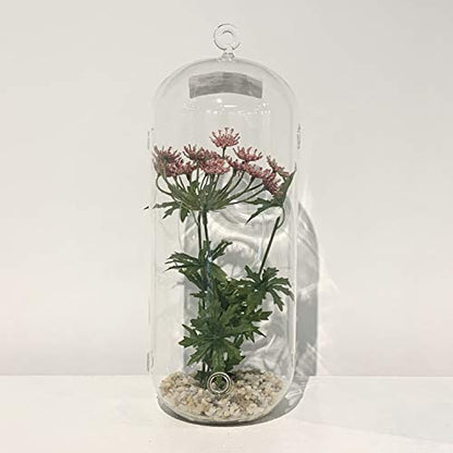 WGV Hanging Glass Plant Terrarium Bulk, Width 5", Height 12", Lantern DIY Air Succulent Planter Clear Tea Light Votive Candle Holder, Wedding Event Office Home Outdoor Decor, 12 Pieces