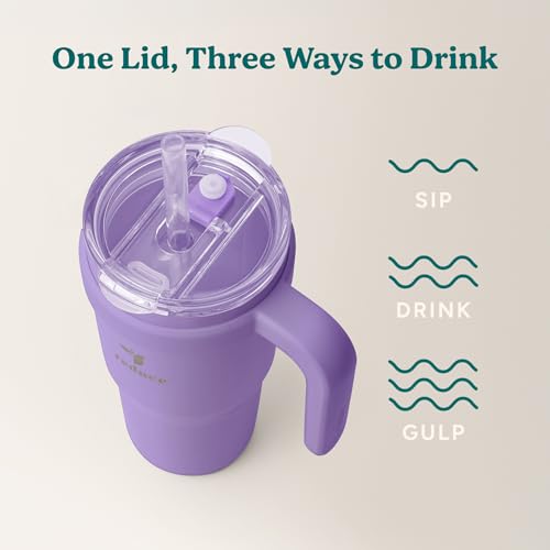 Reduce 24 oz Stainless Steel Tumbler with Handle - Dual-Wall Vacuum Insulated Travel Mug, Sweat-Proof Lid & Reusable Straw - Keeps Drinks Cold for 24 Hrs, Fits Cupholders, Dishwasher Safe-Purple Punch - color: Purple Punch, size: 24 Ounces