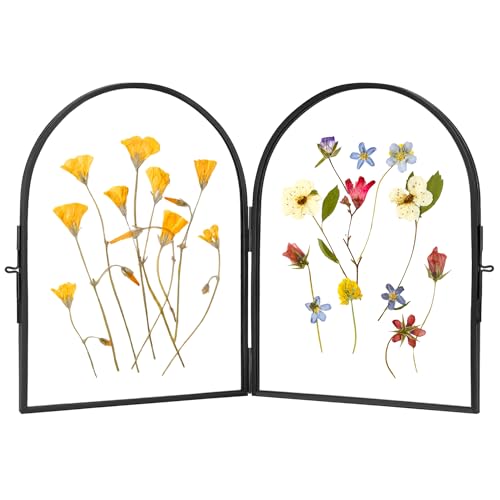 REDHUGO Double Glass Frame for Pressed Flowers Arc Black, 6×8 Inches | Handmade, Pressed Flower Frame, Hinged Tabletop Brass Photo Frames, Dried Flower Display Folding Picture Frame for Home - color: Black, size: 6L" x 8W"