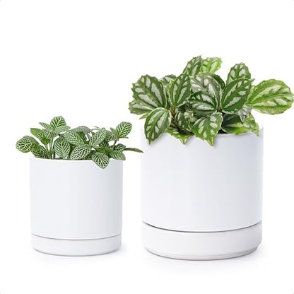 D'vine Dev 2-Pack Ceramic Pots & Saucers, White, 3.5/4.7 in, 94-G-XS-1 | Glazed Ceramic, Drainage Hole, Perfect-Fit Saucer, Sleek Cylinder Shape, High Temperature Fired, Elegant Home Accent - color: White, size: X-Small