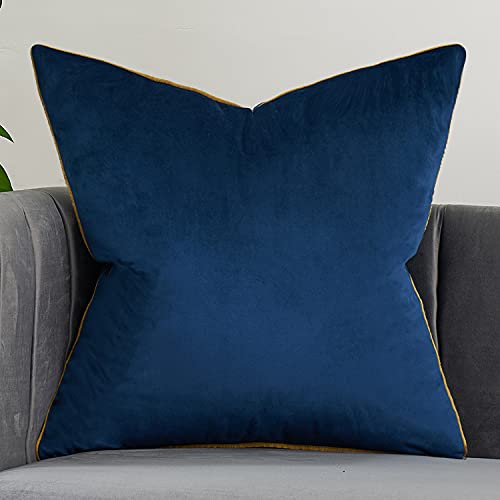 Avigers Decorative Pillow Cover 24 x 24 Inch, Blue, Velvet, Hidden Zipper | Insert not included; Western plain accent for couch, sofa, bed and living room; removable for seasonal updates - color: Blue, size: 24" x 24" (Pack of 1)