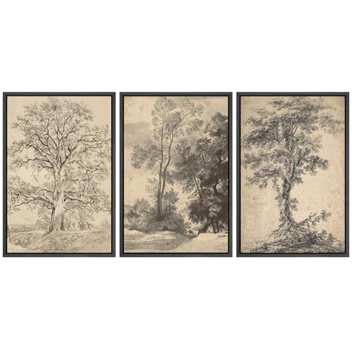 SIGNFORD Framed Canvas Print Wall Art Set Classic Botanical Sketches Black and White Tree Drawings Illustrations Modern Art Relax/Calm for Living Room, Bedroom, Office - 16"x24"x3 Black - color: A06-2507-ll07, size: 16"x24"x3 Panels Black