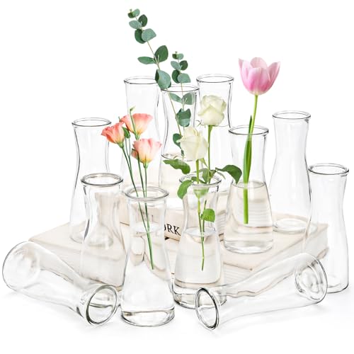 Set of 12 Small Glass Bud Vases, 6 Oz Mini Flower Vases Set | Clear Decorative Vases Table Centerpieces for Wedding, Single Stem Flowers, Dining Room Party Decor