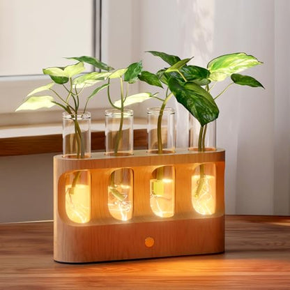 Rechargeable Plant Propagation Station with Stepless Dimming Lights | Wooden Stand, 4 Glass Test Tubes, Home Decor for Hydroponic Plants, Unique Gifts for Women & Plant Lovers