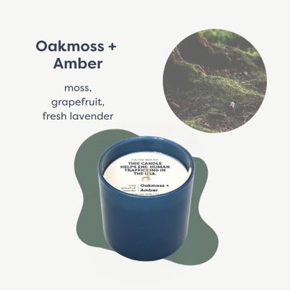 Dignity Series Oakmoss & Amber Scented Candle | 35 Hour Burn - Made in the USA Luxury Clean Soy Wax Candles - Long Lasting Glass Jar Candle for Home - 1 Wick - 5.3oz - color: Oakmoss + Amber