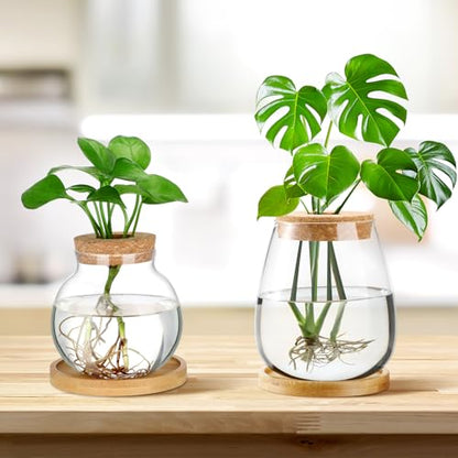 Layhit 4 Pcs Plants Propagation Stations vases Glass Planters with Wooden Lid and Bamboo Stand for Hydroponic Plants Gardening Gifts for Women Mom Home Office Tabletop Decoration(Lovely Style) - style: Lovely Style