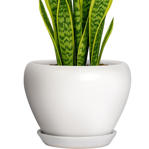 Deep Dream 8 Inch Plant Pot - Ceramic Planter with Drainage Hole and Trays, Modern Round Flower Pot, Planters for Indoor Outdoor Plants, Home Garden Decor, White - color: Matte White, size: 8 Inch