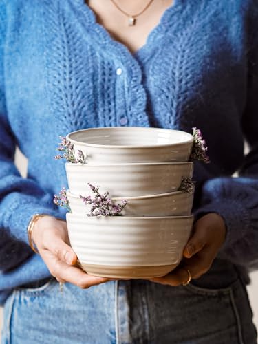 LE TAUCI Cereal Bowls Set of 4, Ceramic Soup Bowl 28 oz, Stoneware Kitchen Bowl for Pho, Chip, Fruit, Salad, Noodle, Ramen, Dishwasher Oven Microwave Safe - 6 Inch, Arctic white - size: 6 inch