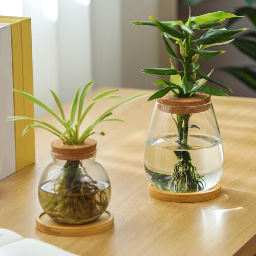 Layhit 4 Pcs Plants Propagation Stations vases Glass Planters with Wooden Lid and Bamboo Stand for Hydroponic Plants Gardening Gifts for Women Mom Home Office Tabletop Decoration(Lovely Style) - style: Lovely Style