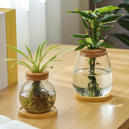 Layhit 4 Pcs Plants Propagation Stations vases Glass Planters with Wooden Lid and Bamboo Stand for Hydroponic Plants Gardening Gifts for Women Mom Home Office Tabletop Decoration(Lovely Style) - style: Lovely Style