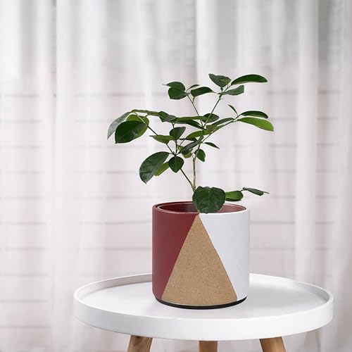 D'vine Dev 2-Pack Cachepot with Clear Pot, 6.5 in, Crimson Dune, 93-V-C-4 | Dual-Pot System, Root Visibility, Bottom Watering Support, Enhanced Drainage, Artistic Stoneware Design, Easy Plant Care - color: Crimson Dune, size: 6.5” Cachepot + 6“ Clear Grow