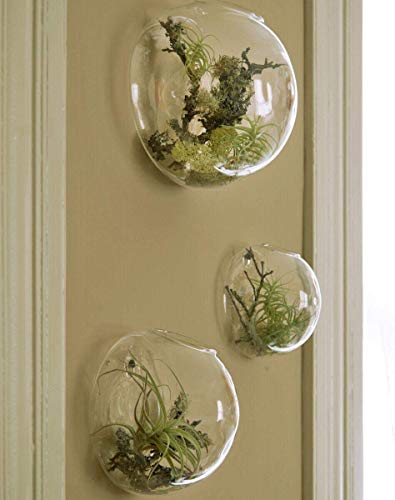 Set of 3 Wall Hanging Planter Wall Hanging Bubble Glass Terrarium Wall Mount Vase for Indoor Planter Air Plant Glass Terrarium Flower Vase Wall Bowl(Oblique Opening)