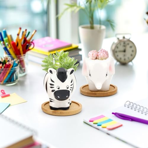 Photken Small Ceramic Succulent Pots - 6 Pack 3" Cartoon Animal Shape Planters Indoor & Outdoor with Drain Holes and Bamboo Tray for Succulents, and Herbs - style: Garden