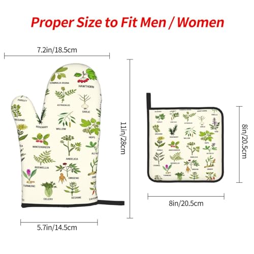 Cute Herbs Botanic Garden Plants Oven Mitts and Pot Holders Sets Heat Resistant for Kitchen BBQ Microwave Baking Grilling Cooks Set of 3 Kitchen Oven Glove - color: Cute Herbs