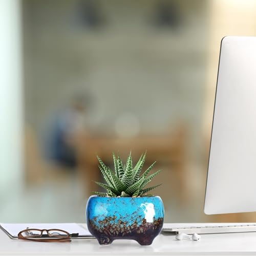 ARTKETTY Succulent Pots, 4.7 Inch Small Plant Pots with Drainage Pack of 5 | Ceramic Planters for Indoor Cactus Plants Glazed Flower Plant Container - color: 4.7"-rectangular(5pcs)