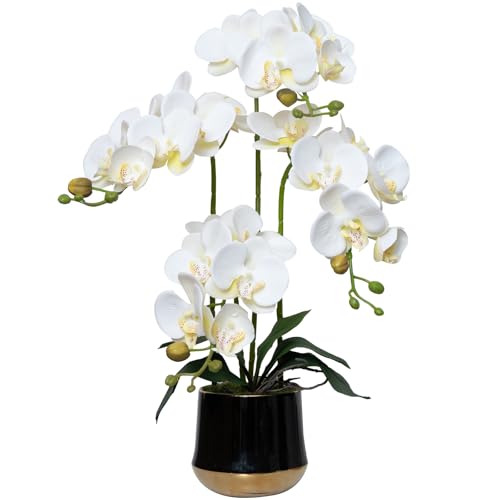 Artificial Orchid Flowers in Ceramic Vase 19.5 Inch Realistic Faux Orchids | White Fake Flower Silk Phalaenopsis Plant Arrangements for Home Office Restaurant Indoor Centerpiece Decor (Set of 4 Stems) - color: White, size: 14CM- BlackGolden