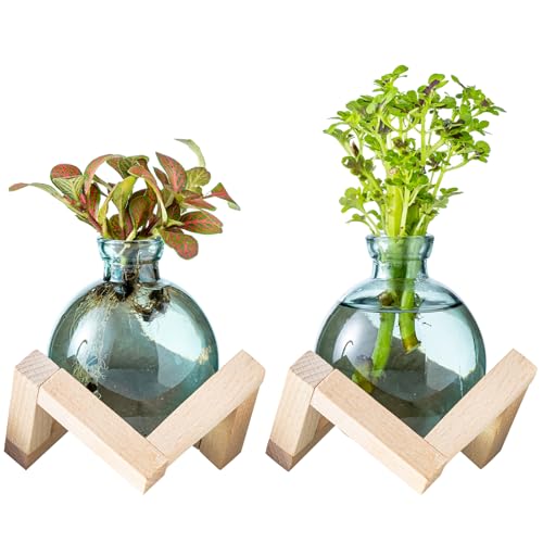 Plant Propagation Station, Plant Terrarium with Wooden Stand for Hydroponic Plant Propagation, Propagation Vases for Plants, Green Glass Bulb Vases for Home Office Decor (2)