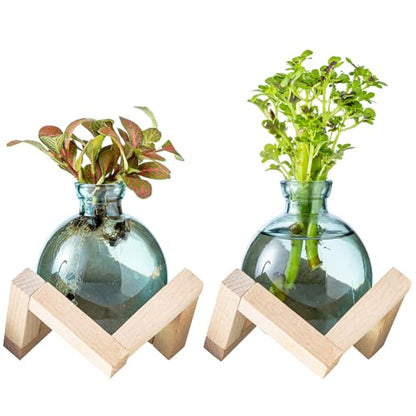 Plant Propagation Station, Plant Terrarium with Wooden Stand for Hydroponic Plant Propagation, Propagation Vases for Plants, Green Glass Bulb Vases for Home Office Decor (2)