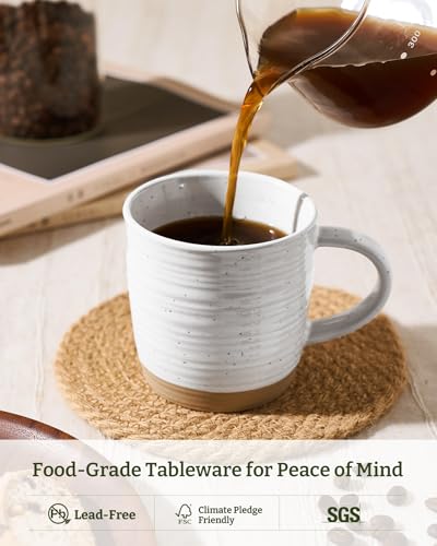 famiware Coffee Mugs Set of 4, 13 oz Mug Set, Ceramic Cup Set with Handle | Stoneware Mug for Coffee, Tea, Latte, Cappuccino, Microwave and Dishwasher Safe, Constellation Series，Polar White - color: Constellation-Polar White, size: 4 Count (Pack of 1)