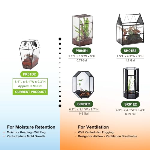 NCYP Gothic Glass Enclosure for Jumping Spider, Snails, Insects - Front Opening Door Geometric Terrarium with Vent Holes, Indoor Tabletop Coffin Shape Decor, Black (Terrarium Only)