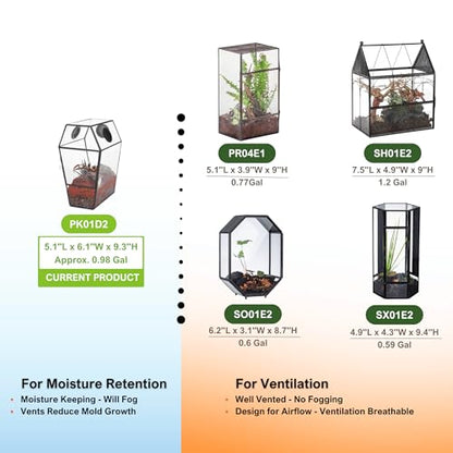 NCYP Gothic Glass Enclosure for Jumping Spider, Snails, Insects - Front Opening Door Geometric Terrarium with Vent Holes, Indoor Tabletop Coffin Shape Decor, Black (Terrarium Only)
