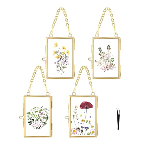 4 Pcs Pressed Flower Frame with Tweezers, Wall Hanging Tabletop Display Double Glass Frames with Metal Chain for Pressed Dried Flowers Plants, Horizontal and Vertical Picture Frame, Gold, FRAMES ONLY - color: Gold-4