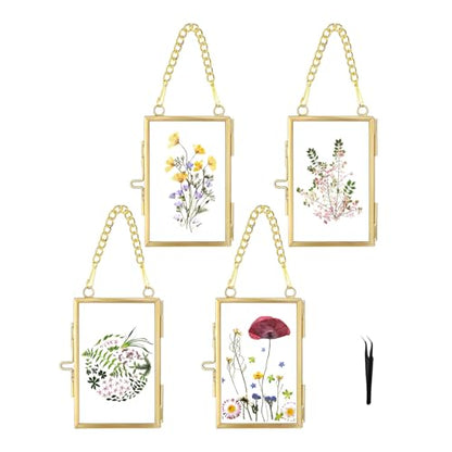 4 Pcs Pressed Flower Frame with Tweezers, Wall Hanging Tabletop Display Double Glass Frames with Metal Chain for Pressed Dried Flowers Plants, Horizontal and Vertical Picture Frame, Gold, FRAMES ONLY - color: Gold-4