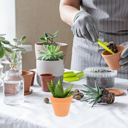 DECHOUS 12-Pack Mini Terracotta Pots, 2.16 Inch Clay Planters | Small Plant Pots with Drainage Holes for Succulents, Cactus, Herbs, Seedlings, Indoor Gardening, DIY Crafts