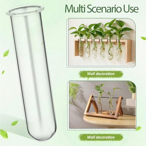 Yardwe 5Pcs Clear Glass Test Tubes Plant Propagation Station - Hydroponic Vases for Home and Office Decor