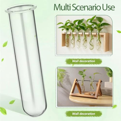 Yardwe 5Pcs Clear Glass Test Tubes Plant Propagation Station - Hydroponic Vases for Home and Office Decor