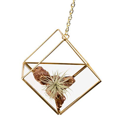 Koyal Wholesale Geometric Metal Hanging Air Planters Set of 6 Assorted Geometric Modern Shapes, 12-Inch Chains Included