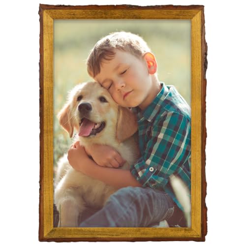 Golden State Art 12X18 Picture Frame Rustic Brown,Wood&Bark Edge&Real Glass | 12x18 Solid Wood Picture Frame, Display Posters/Photos/Prints for Wall Mounting, Farmhouse Decor, 1 Pack - color: 1 Pack, size: 12x18