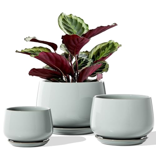 LE TAUCI Plant Pots for Indoor Plants, 4.1+5.1+6.5 inch, Set of 3, Ceramic Planters with Drainage Hole and Saucer, Indoor Flower Pot with Hole Mesh Pad, Gifts for Mom, Reactive Glaze Blue Gray - color: Reactive Glaze Blue Gray