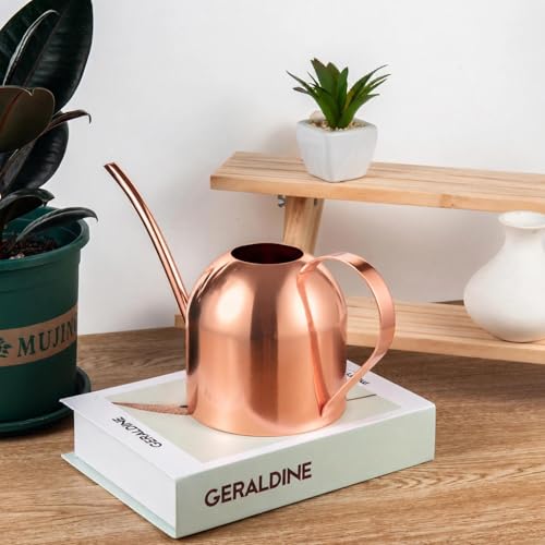 IMEEA 30oz Indoor Plant Watering Can Stainless Steel Long Spout, Rose Gold - color: 30oz (1l) - Rose Gold