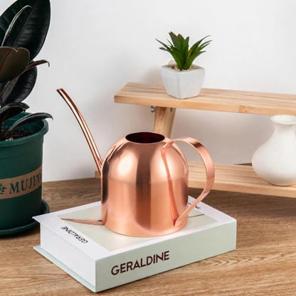 IMEEA 30oz Indoor Plant Watering Can Stainless Steel Long Spout, Rose Gold - color: 30oz (1l) - Rose Gold