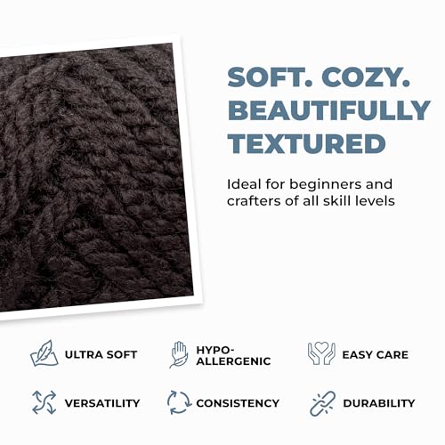 Mary Maxim Titan Bulky Yarn, Weight 5 Acrylic, Chunky Yarn for Crocheting and Knitting, Ideal for Thick, Soft Blankets, Throws, and Graph Style Sweaters, 80 Yards - Black - 1 Skein - color: Black