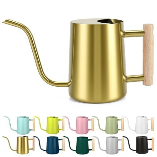 Watering Can Indoor Plants, 35oz Small Stainless Steel Metal Watering Can Modern Decorative Watering Pot with Long Spout for Indoor House Plant Bonsai Garden Flowers (Gold) - color: Gold